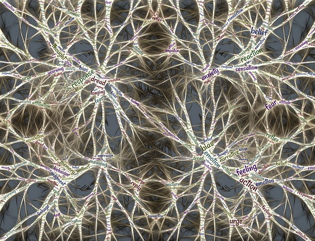 MOOC – Neurosciences : audition, langage et&nbsp;musique